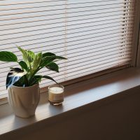 Processed with VSCO with e1 preset